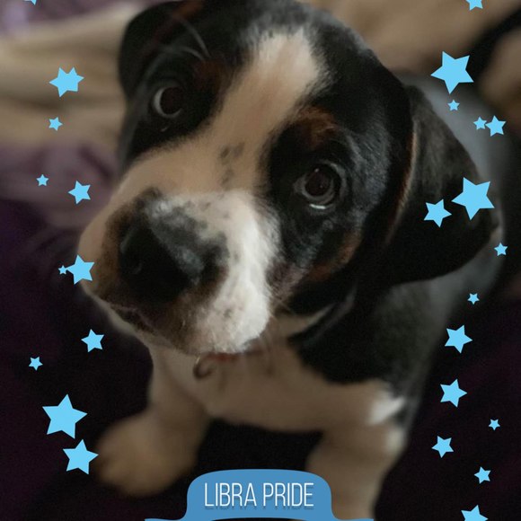 Meet your Posher, Sizzyann - Picture 1 of 1